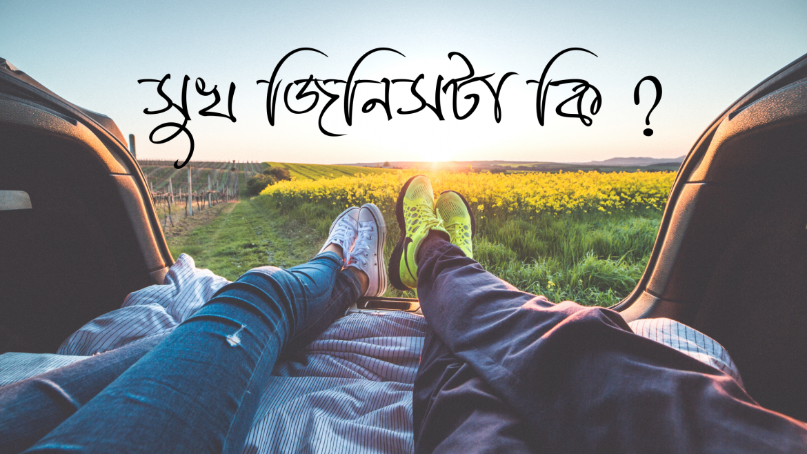 সুখ জিনিসটা কি ?